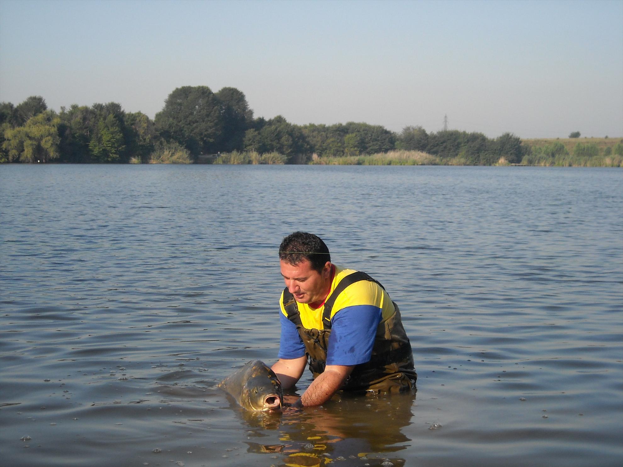 Cupa City Center-2010 - dscn8157.jpg